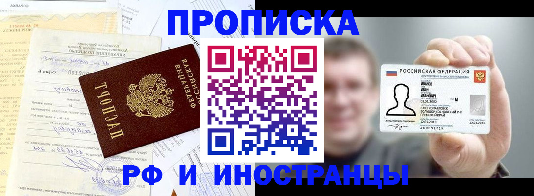 прописка гарантия в Химках